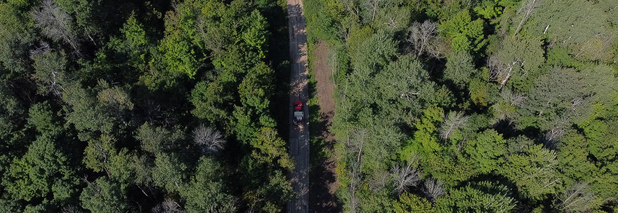 An aerial view of a forest with a pipeline right-of-way protected by matting.