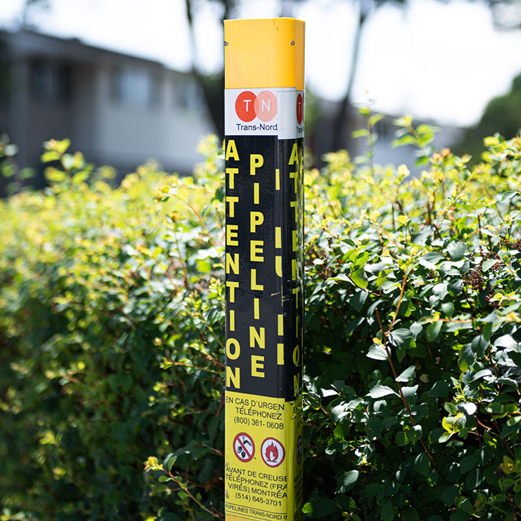 Yellow TNPI pipeline marker with French next to a resident’s hedge with a home in the background.