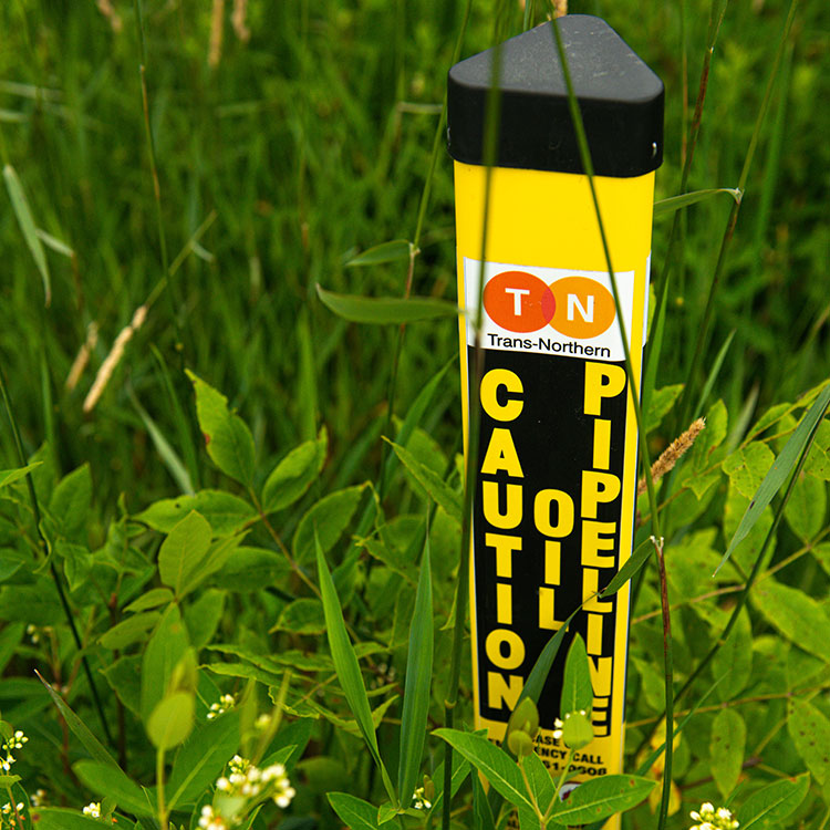 Yellow TNPI pipeline marker with English writing surrounded by tall grasses.