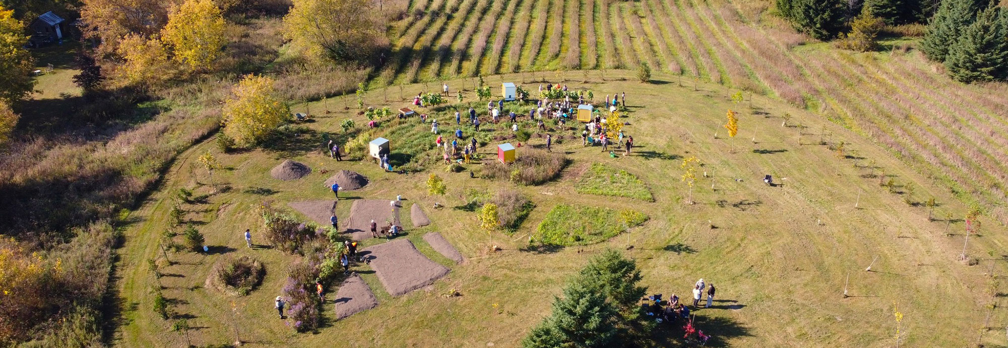 Aerial view of The Healing Place, located on the traditional territories of the Mohawk and Algonquin Nations in Shanly, Ontario. The place is home to many culturally significant animal species and plantings include culturally significant trees, shrubs, medicines, ceremonial and food plants.