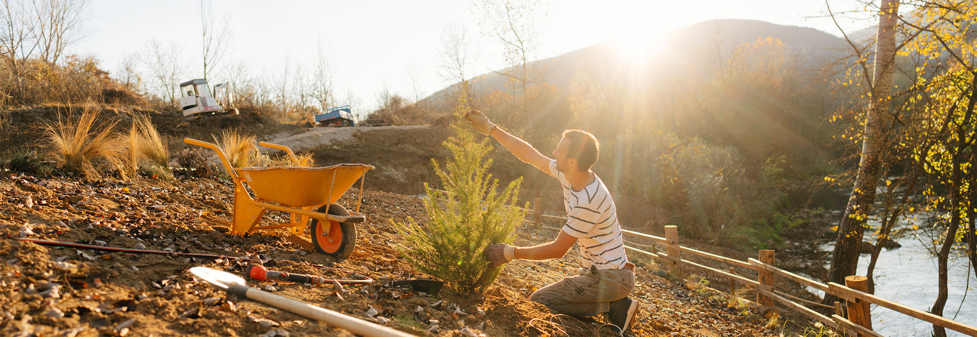 A man wearing jeans, a t-shirt, sneakers, and work gloves inspects his newly planted tree with garden tools nearby, and an excavator in the background.