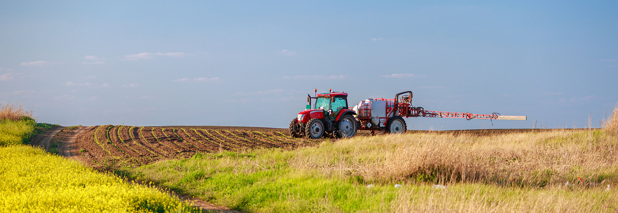 A red tractor on an agricultural field.