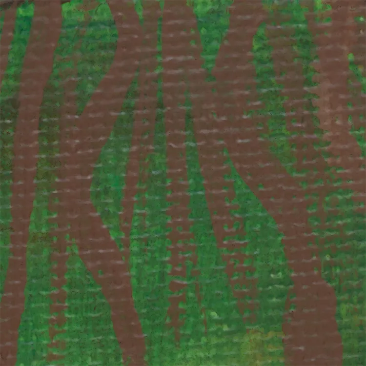 Close-up of brown tree roots winding through green ground.